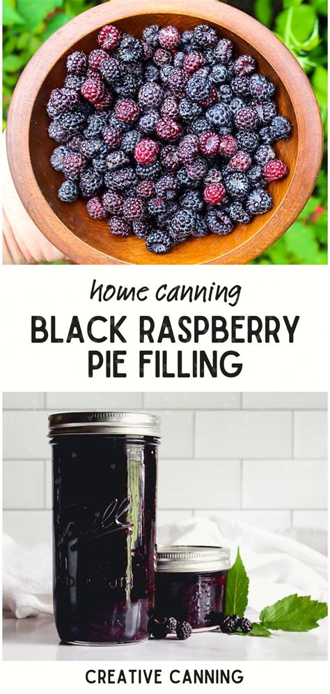 Canning Black Raspberry Pie Filling Recipe Black Raspberry Pie Raspberry Pie Filling Pie