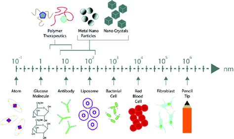 Schematic Representation Of Nanomaterial Size In Comparison To Other