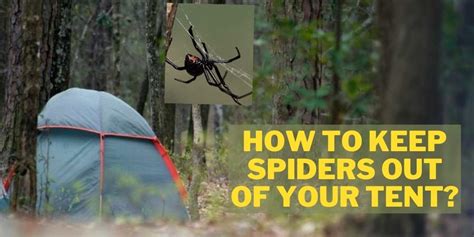 How To Keep Spiders Out Of Your Tent 131 Easy Tips Included