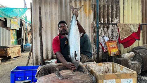 Vanjaram Fish Cutting By Kasimedu Speed Selvam Youtube