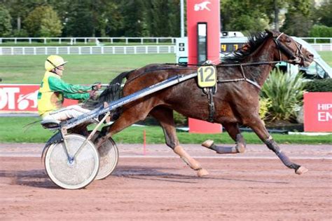 JUEN EMONDEVILLE La Fiche CANALTURF Du Cheval Performances Pmu