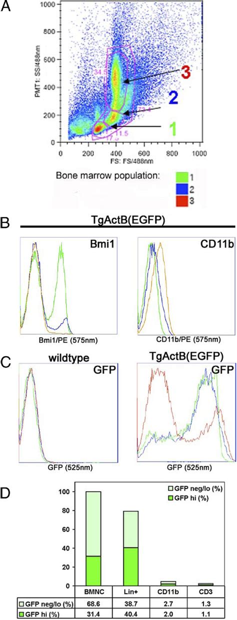 Figure 2 From High Resolution Imaging And Antitumor Effects Of GFP