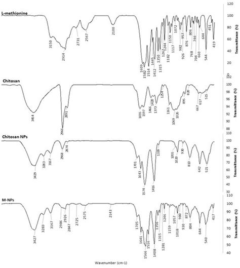 Ft Ir Spectra Of L Methionine Chitosan Chitosan Nanoparticle Nps