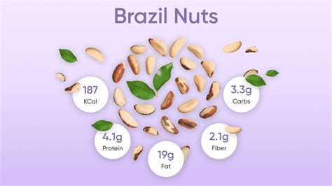 Brazil Nuts Facts Calories Health Benefits And Side Effects Betterme