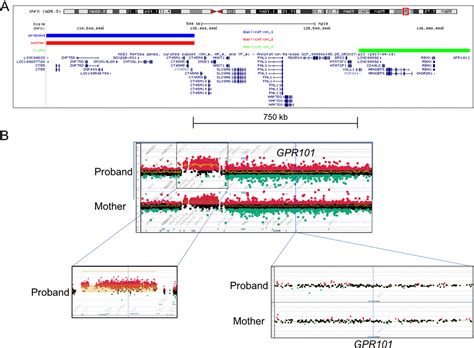 46 XX SEX REVERSAL 3 Semantic Scholar