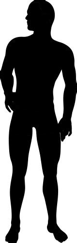 Naked Standing Man Royalty Free Vector Image VectorStock