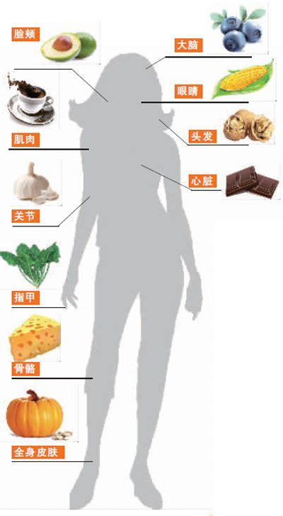 人体最爱的11种抗衰老食物山东频道凤凰网