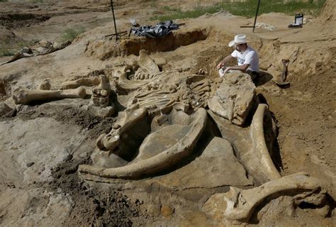 Agricultores Descubren Un Mamut De A Os En Un Pozo De Grava En