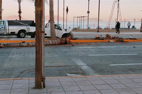 Camioneta Choca Contra Palmera Mujer Copiloto Muere Tras El Impacto