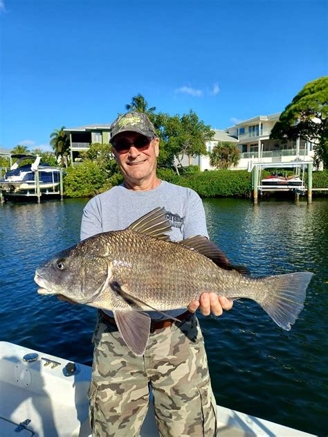 How to Catch Black Drum – Siesta Key Fishing Charters