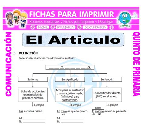 El Articulo Y Sus Clases Ejercicios