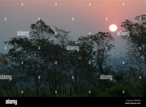 Sunrise Over The Selva Lacandona Chiapas Mexico Stock Photo Alamy