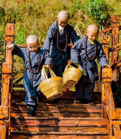 「禪」靜心聽佛語，佛度有緣人 每日頭條