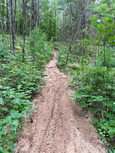 Sand Lake Motorcycle Trail Michigan Gps Trail Map Conditions
