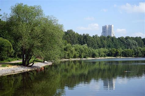 Лучшие парки Москвы и Подмосковья для прогулок и пикников