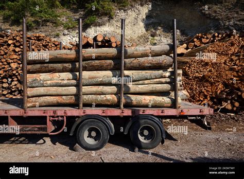 Timber Truck Trailer Or Logging Lorry Loaded With Cut Logs Timber