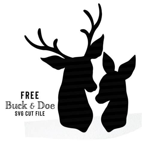 Free Buck And Doe Svg Cut Files