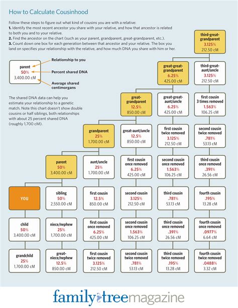 Cousin Chart Family Tree Dna