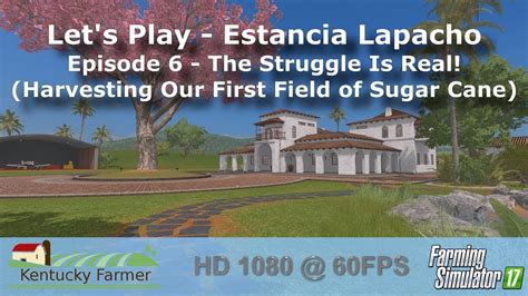 Fs17 Pe Let’s Play Estancia Lapacho Ep 6 Youtube