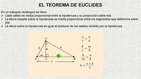 La Geometria Euclidea