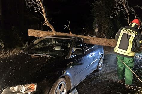 Baum St Rzt Auf Auto Mann Stirbt Im Kreis Gifhorn