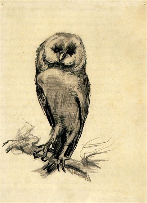 Barn Owl Viewed From The Front 1887 Paris France By Vincent Van Gogh Artchive