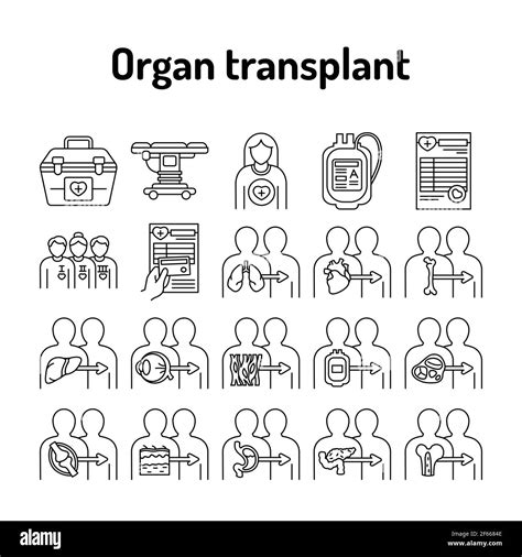 Organ Transplant Line Icons Set Isolated Vector Element Outline