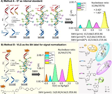 Pex With Kod Xl Dna Polymerase Four Modified Nucleoside Triphosphates Download Scientific