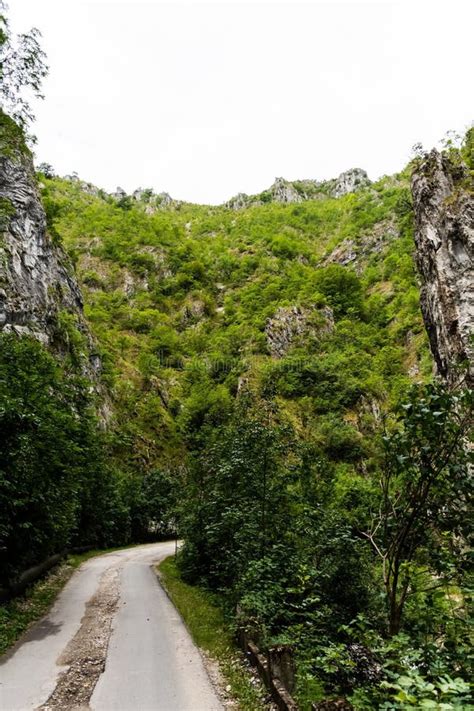 Sohodol Gorges Stock Photo Image Of Mountains Forestry 258551976