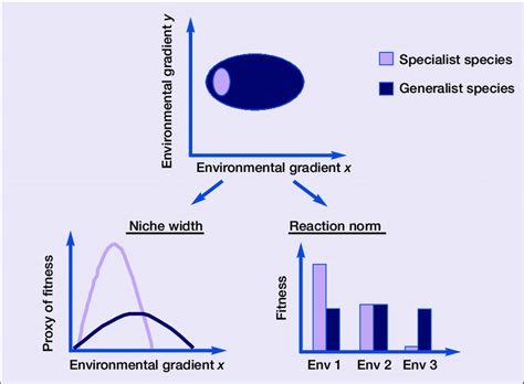 Concept Of The Ecological Niche And Two Different Measures Of It Env