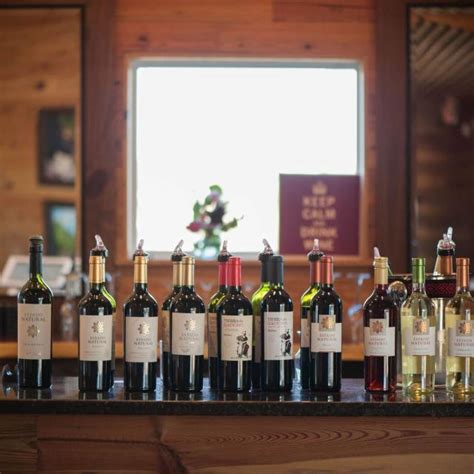 Top 7 Wine Tasting Experiences In Austin Guide 2 Austin