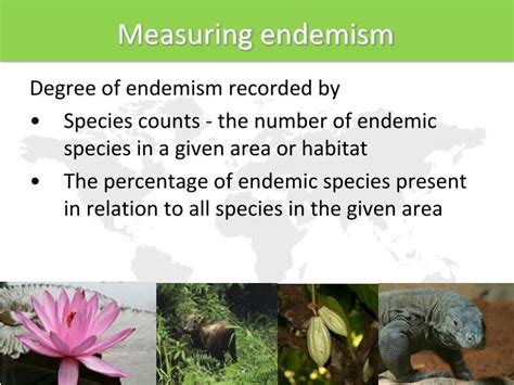 PPT WALLACE RESOURCE LIBRARY Lecture 06 Endemism And Biodiversity