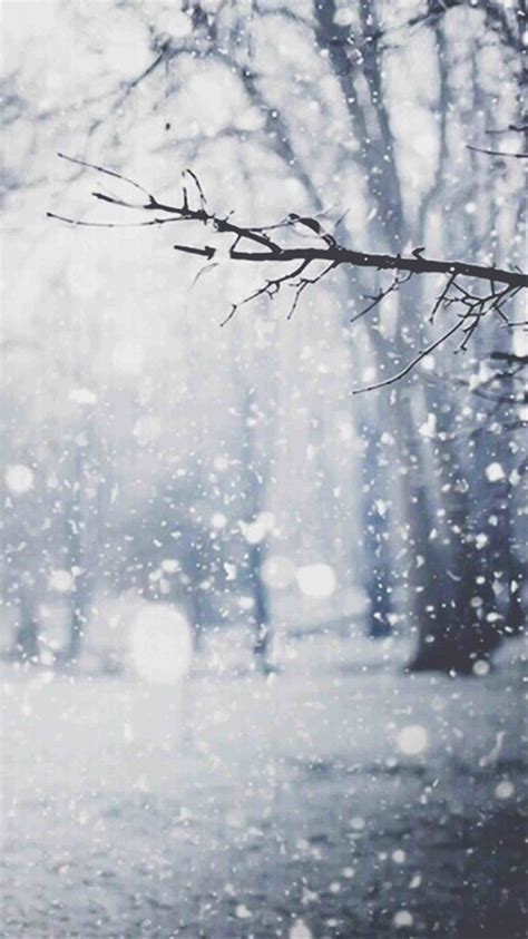 Cute Snow Quotes Tumblr Cute Winter Aesthetics HD Phone Wallpaper Pxfuel