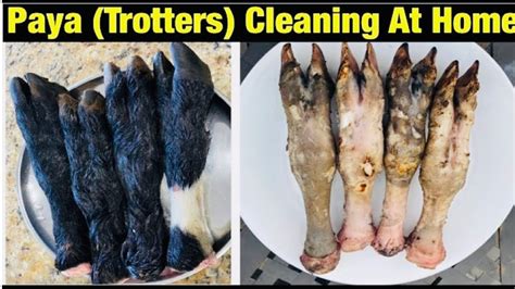 How To Clean Mutton Paya Trotters At Home Cleaning Hair From Paya At