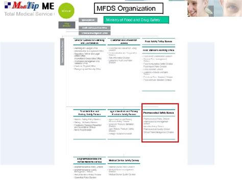 mfds drug approval system    dedicated