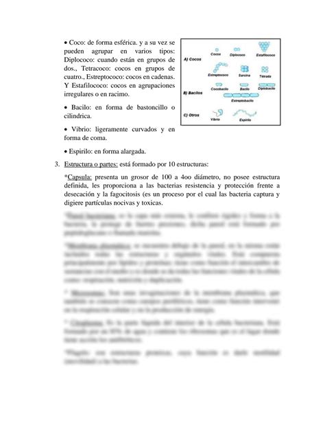 SOLUTION Morfolog A Y Estructura Bacteriana Studypool