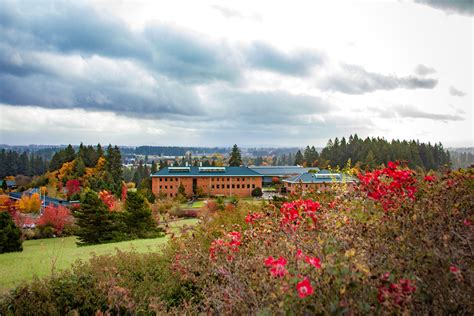 Wsu Vancouver To Hold Preview Day For Prospective Students The Reflector