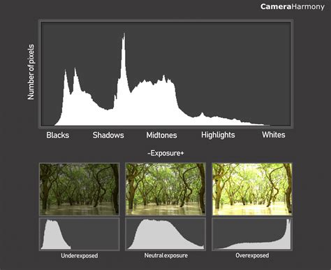 How To Use Histograms To Improve Your Photography Camera Harmony