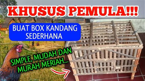 Khusus Pemula Buat Kandang Box Anak Ayam Sederhana Dari Bambu Simple