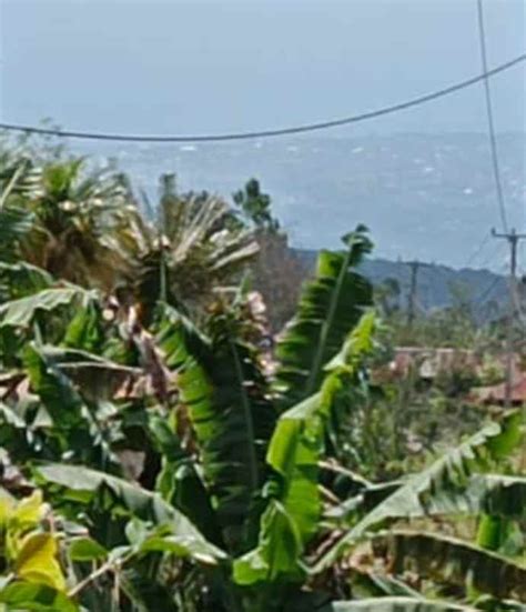 Tanah View Lembah Dan Laut Di Wanagiri Singaraja Bali