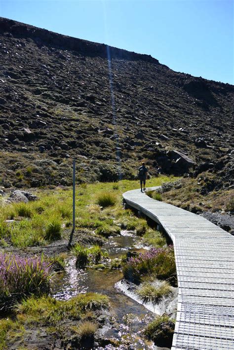 Hiking Mount Ngauruhoe in New Zealand | Layback Travel