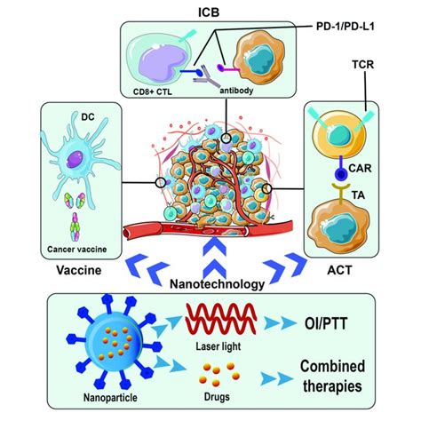 Immunotherapy For Breast Cancer And Application Of Nanotechnology Download Scientific