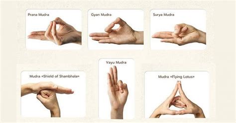 List Of All Hand Mudras