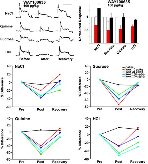 Intravenous Injection Of The 5 Ht1a Antagonist Way100635 Inhibits