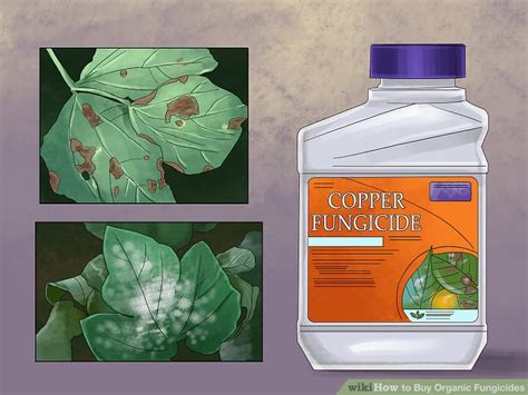 How To Buy Organic Fungicides 12 Steps With Pictures Wikihow