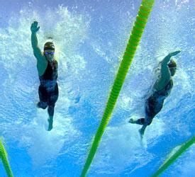 Saturday Swim Session Paddle Your Way To Success Coach Ray Qwik