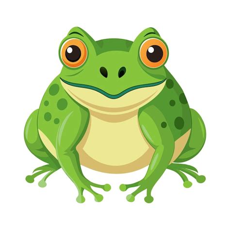 Vector De Ranas Aislado Sobre Un Fondo Blanco Vector Premium