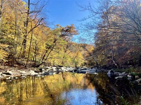 Best 10 Hikes and Trails in Rock Creek Park | AllTrails