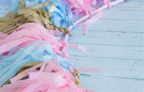 Diy Tissue Tassel Garland Project Nursery