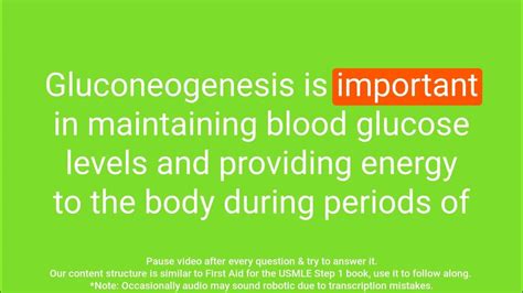 A Comprehensive Review Of Gluconeogenesis And Irreversible Enzymes Perfect For Usmle Step 1